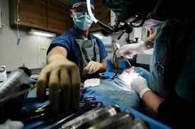 Oral And Maxillofacial Surgery Wikipedia