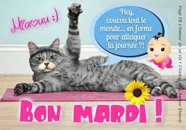 Avec une bonne blague bien sur ! Miaouu Bon Mardi Hey Coucou Tout Le Monde En Forme Pour Attaquer La Journee Bon Mardi Humour Bon Mardi Bonjour Drole