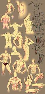 The perfect back muscles anime animated gif for your conversation. 58 Anime Cuteness Ideas Drawings Art Reference Anime
