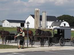 Most amish church members, however, would identify as caucasian or white. How Would You Like To Experience The Amish Lifestyle For A Day