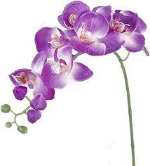 Download orchid flower stock photos. Amazon Com 1 Piece Of Artificial Simulation Butterfly Orchid Flower Plant Rose Red Home Kitchen
