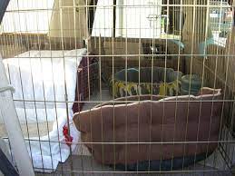 Check spelling or type a new query. How To Make Driving Long Distance With A Cat Easier Quora
