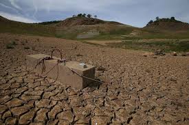 California drought: Brown orders 25 percent water use reduction