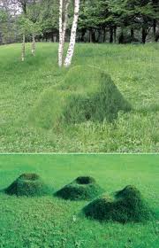 Grass Chairs Art Des Jardins Deco Jardin Jardins