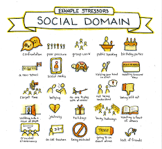 Example Stressors Social Domain Popfasd Fetal Alcohol Spectrum Disorder Fasd Resource F Fetal Alcohol Spectrum Disorder Fetal Alcohol Spectrum Disorder