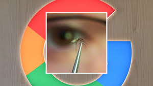Google wants to release up to 32 million ‘good’ mosquitoes in California and Florida