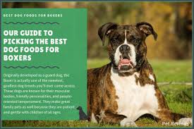 There is an endless array of options out there for dog food, so choosing the best dog finding the best puppy food for boxers can be even more difficult. Ilmu Pengetahuan 4 Boxer Dog Breeds India