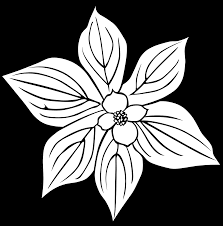 White black red green blue yellow magenta cyan. Leaves Flower Black And White Free Vector Graphic On Pixabay