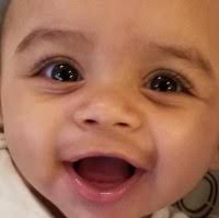 30+ "Dobbins" profiles