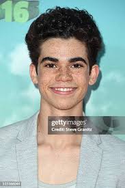 214 Steve Boyce Photos & High Res Pictures