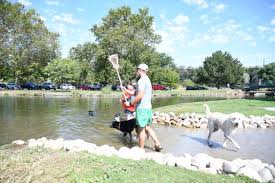 Maybe you would like to learn more about one of these? Together Treasure Valley Dog Island City Of Boise