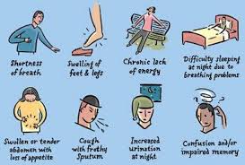 Symptoms Of Congestive Heart Failure Congestive Heart Failure Heart Failure Heart Failure Symptoms