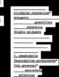 Image result for Tricalysia acocantheroides