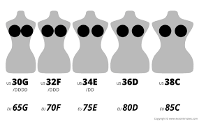 Bra Size Charts And Conversions Accurate Guide With Images