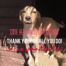 Elmer is so happy with the comments and helpful tips. Here is the Go fund  me page. Https.//gofundme/43c2f1566 Today he would like to Shout out a  thank you to a few of