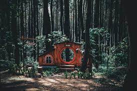 Selain mendapat pengalaman yang menyenangkan dan berkesan, kalian juga bisa menikmati keindahan alam yang menakjubkan. Yuk Intip 10 Spot Wisata Alam Di Bogor Yang Instagramable Abis