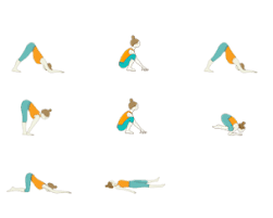 Peak Pose Yoga Sequence Arm Balance Yoga Sequence With Baby Crow Pose Arm Balance Yoga Poses Yoga For Balance Yoga Sequences