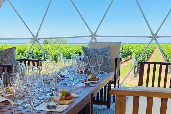 Niagara-on-the-Lake Private Wine Tasting Experience 2026 - Niagara Falls & Around - BOOK NOW