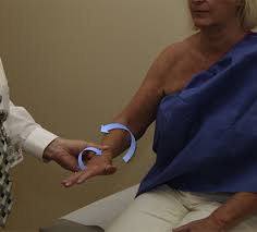 Image result for Yergason Test