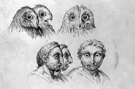 Human profile drawing reference for the arms. 17th Century Sketches Comparing Human And Animal Faces Alk3r