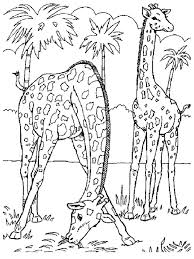 Relaxing coloring book for grownups. Free Printable Giraffe Coloring Pages For Kids