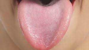 Image result for tongue
