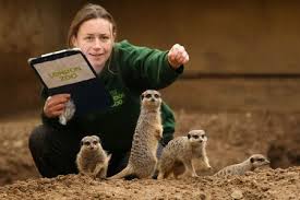 Embrace The Animal Kingdom With A Day As A Zookeeper Prlog London Zoo Work With Animals Animals