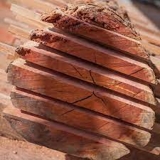 Woodslabs Com Eucalyptus Wood Slabs Many Other Kinds Of Wood Slabs For Sale Directly To You Wood Slab Wood Slab