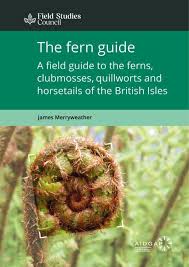 Ferns guide