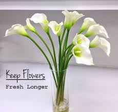 Jan 14, 2020 · the packet you receive in your bouquet is not just there for show. Keep Fresh Flowers Gostica