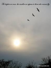 Pin By Katie Milne On Words To Live By Quotes About Birds Flying Fly Quotes Bird Quotes