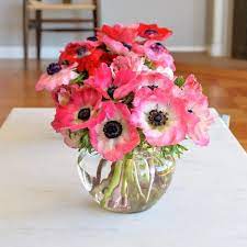 Maybe you would like to learn more about one of these? Ava Anemones Anemone Anemone Flower Flower Arrangements