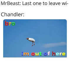 Chandler hallow (born december 3, 1998) is a youtube star who is a frequent collaborator on the channel mrbeast and a major affiliate of the channel, appearing in many of jimmy's videos from 2018 and onward. Mrbeast The Chandler Memes Will Never End Facebook