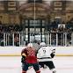 Cup Game: Haringey Huskies v Slough Spitfires event image