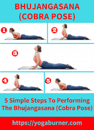 Find Out How To Complete The Cobrapose Bhujangasana Following These Instructions At Https Yogaburner Com Cobra Pose Bh Cobra Pose Yoga For Beginners Poses
