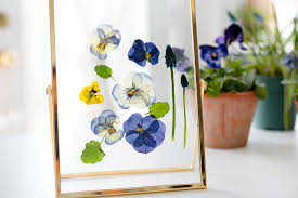 How to dry flowers in the microwave. How To Dry Flowers In Seconds