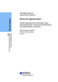 Palliativ medisin er den medisinske fagbetegnelsen på den lindrende behandling som gis til pasienter der man ikke kan fjerne eller stoppe sykdommen. Ntnu Open Borte Bra Hjemme Best