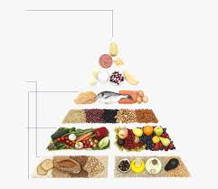 Pelajaran yang lalu makanan malaysia 4. Gambar Makanan Dalam Piramid Makanan Hd Png Download Transparent Png Image Pngitem