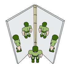 Plane Mirror Reflection Experiment Science Project Education Com Mirror Reflection Science Projects Physics Experiments