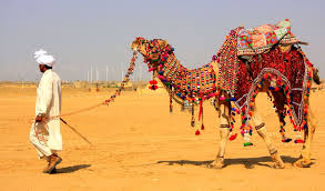 Malayalam songs from various movies always put the viewers into a mood and get them dancing in their seats while watching the films. Camel Safari Alchetron The Free Social Encyclopedia