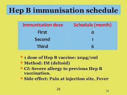 Adults without chronic renal failure and immunocompromising conditions: Program Hepatitis B Di Kalangan Anggota Kkm