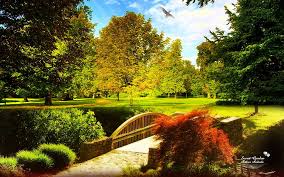 Flowers nature my flower pretty flowers pink flowers colorful roses lotus flower vintage flowers pink peonies planting flowers. Hd Wallpaper Secret Garden Bridge Color Garden Grass Trees Hd Nature Wallpaper Flare