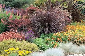 The downside is that when you grow grasses in containers, they are less hardy—generally by about two hardiness zones. Ornamental Grasses Omaha Landscaping Arbor Hills Landscaping