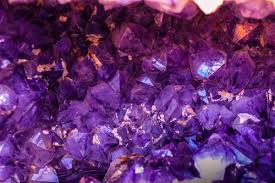 1000 Great Purple Photos Pexels Free Stock Photos