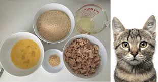 Benefits of giving homemade food to your cat. Homemade Cat Food Recipes Thifty Sue Homemade Cat Food Dog Food Recipes Diy Cat Food