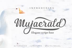 Licensed for personal and commercial use. Mujaerald Font In Fonts On Yellow Images Creative Store