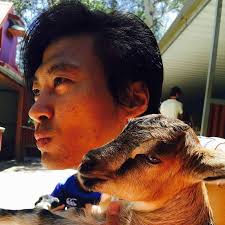 請問車輛折價空間有多少？謝謝