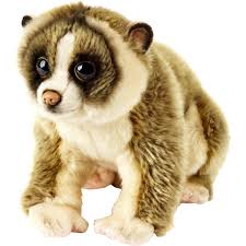 4.5 out of 5 stars with 2 ratings. Lelly National Geographic Plush Slow Loris Stuffed Animals Baby Toys Shop The Exchange