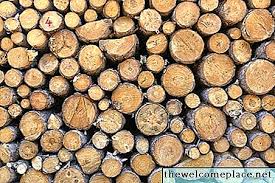 Metode harga pokok pesanan metode harga. Cara Jual Pokok Kayu Untuk Kayu Bahan Bangunan Bekalan