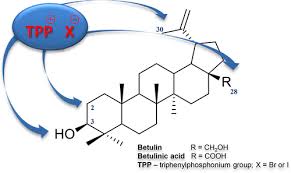 Der skal skjebnen til en ung og lovende norsk gutt avgjøres. Triphenylphosphonium Analogues Of Betulin And Betulinic Acid With Biological Activity A Comprehensive Review Journal Of Natural Products X Mol